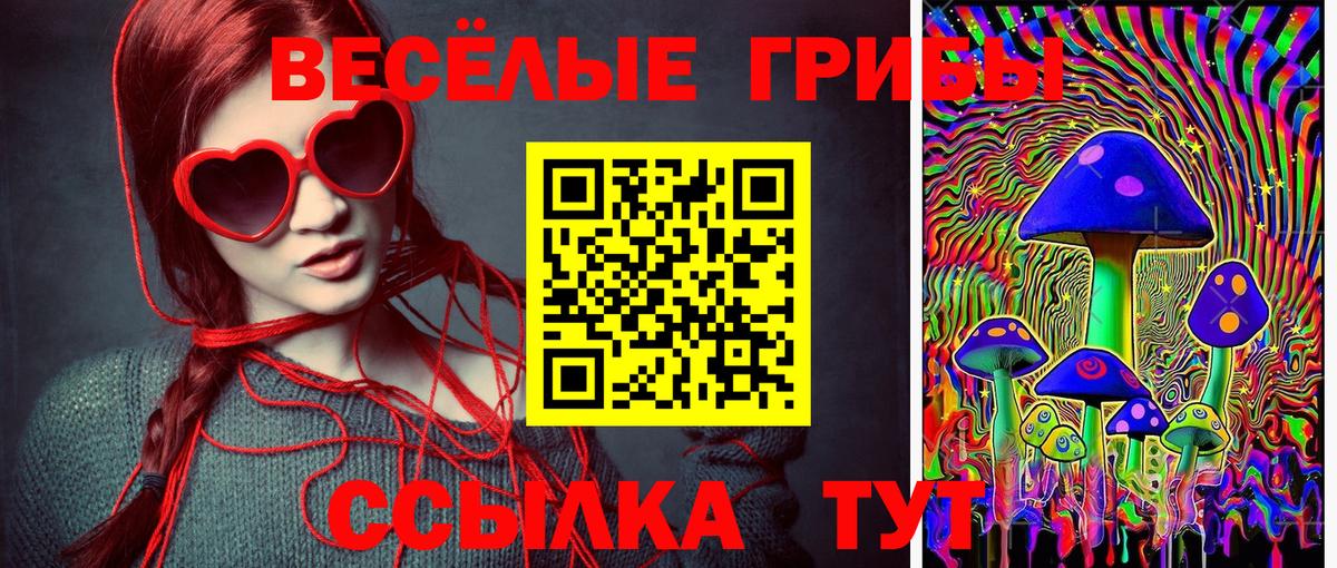 Псилоцибиновые грибы Psilocybine cubensis Лениногорск